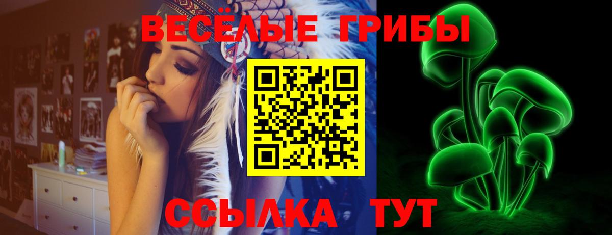 Псилоцибиновые грибы Psilocybe Одинцово